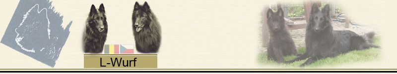 L_Wurf_Banner2011